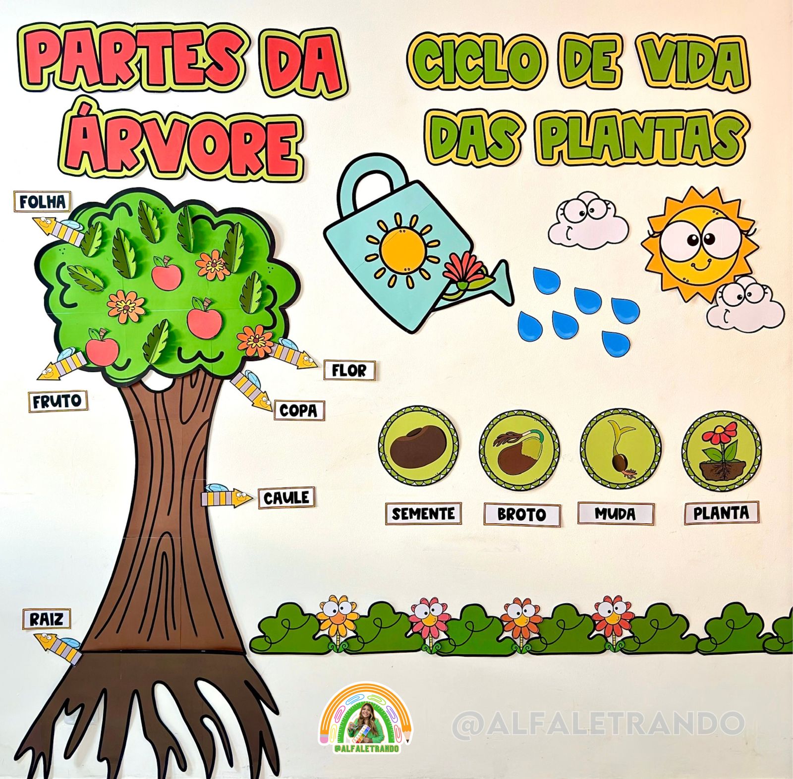 Projeto conhecendo as plantas